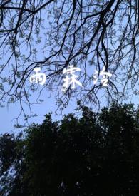 雨霖雨