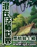 混混法师男主角叫圣子