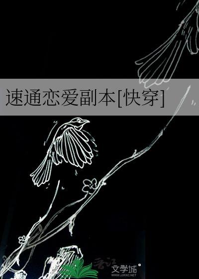 速通初学者指南