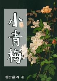 小青梅abotxt