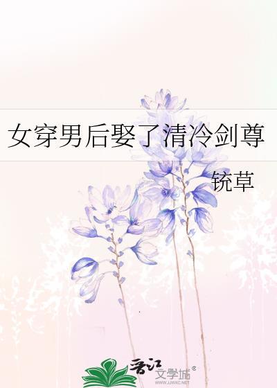 女穿男的清穿文