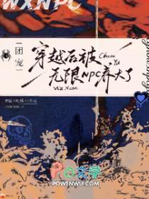 穿越后被NPC团宠了