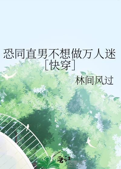 恐同直男不想做万人迷完结了吗
