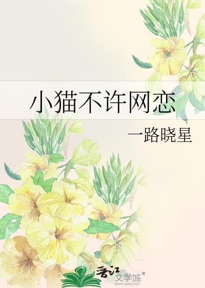 为什么猫不让你玩手机