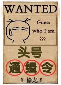 头号通缉犯梗图