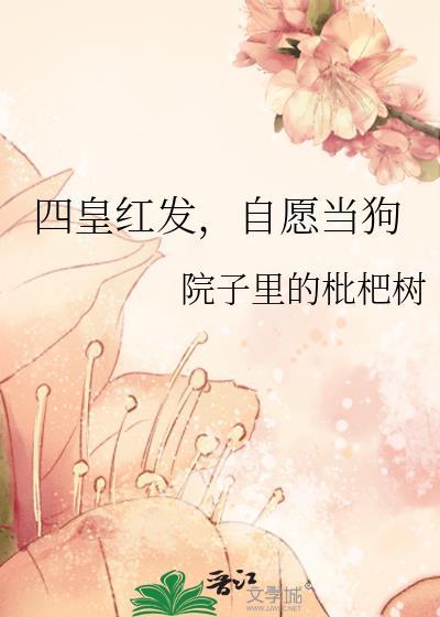 红发6年前成为四皇