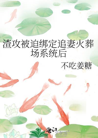 渣攻被迫绑定追妻火葬场系统后by不吃姜糖txt百度