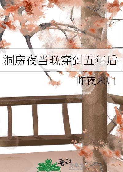 洞房当晚穿越到五年后txt