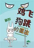 那一场鸡飞狗跳的