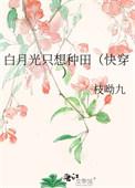 作者白月光