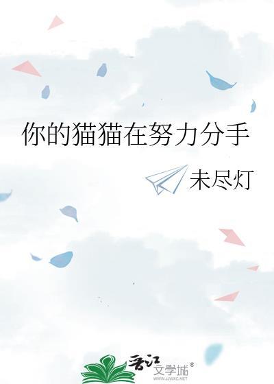 你的猫歌词