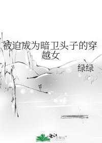 被迫成为暗卫头子的穿越女结局