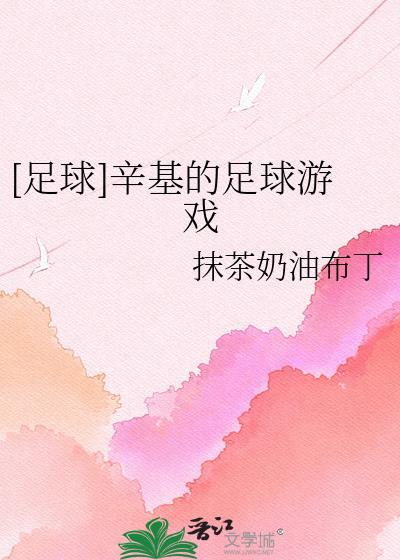 辛纳 足球球迷