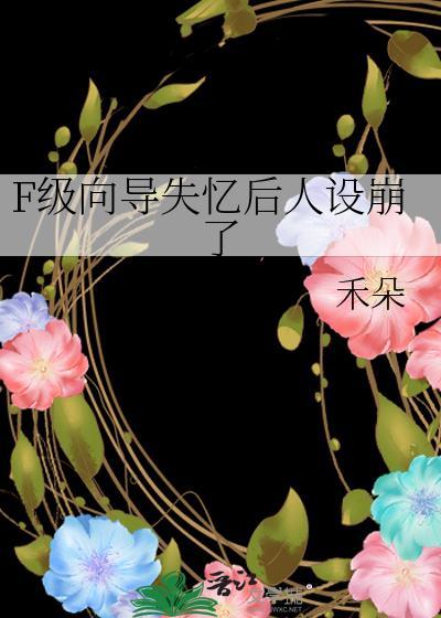 F级向导攻了3S级