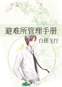 避难所系统具体怎么玩