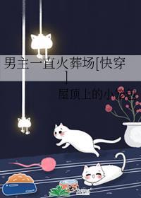 男主追妻火葬场知乎